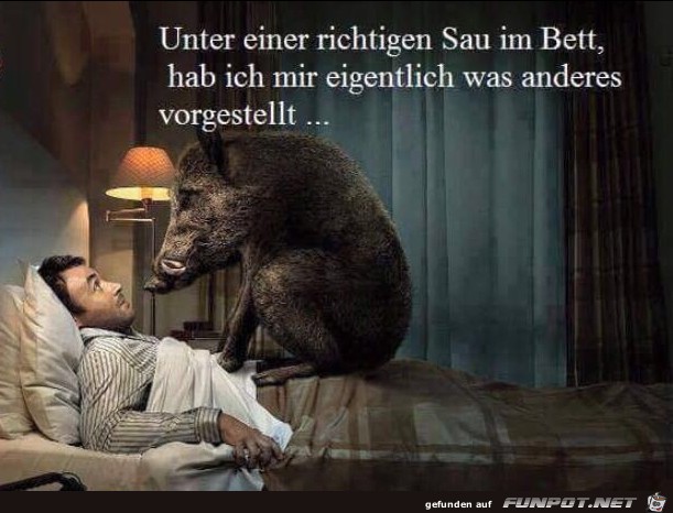 Mausihexe1 Sau im Bett