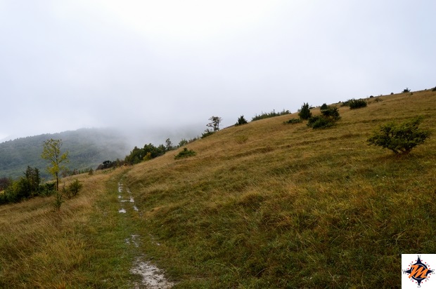 Garulla. Camminando lungo il sentiero natura Garulla. Camminando lungo il sentiero natura