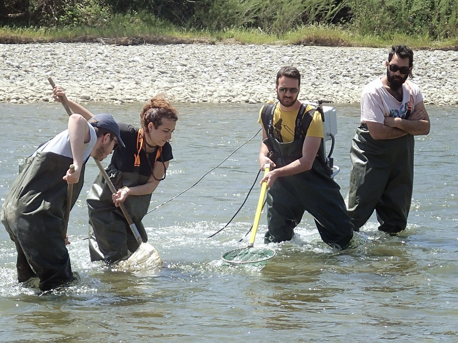 Athens Nature Journal: Fish Monitoring Training Seminar: Sperchios River