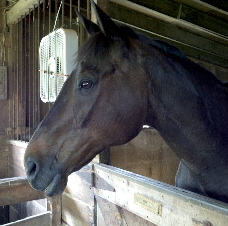 Behind the Bit Harv gets a good report