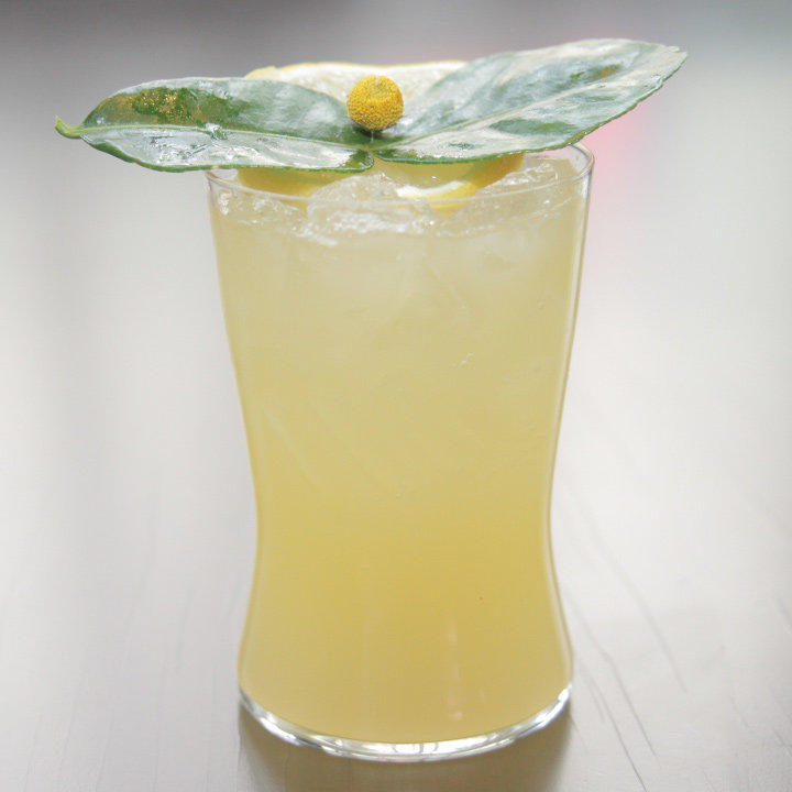 I Cocktails Verbena Cocktail