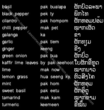 Lao language - Common herbs and spices used in Lao cooking - written in Lao and English