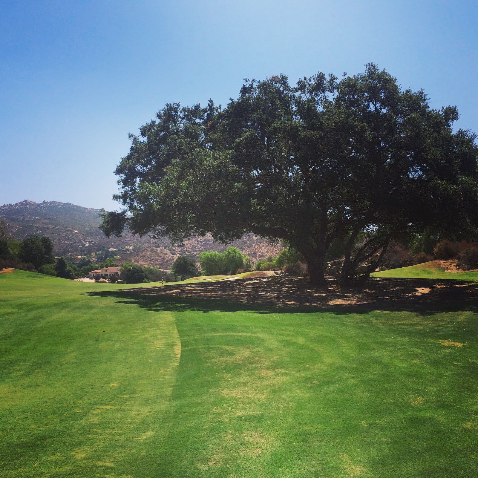 ReGripped Maderas Golf Club Review