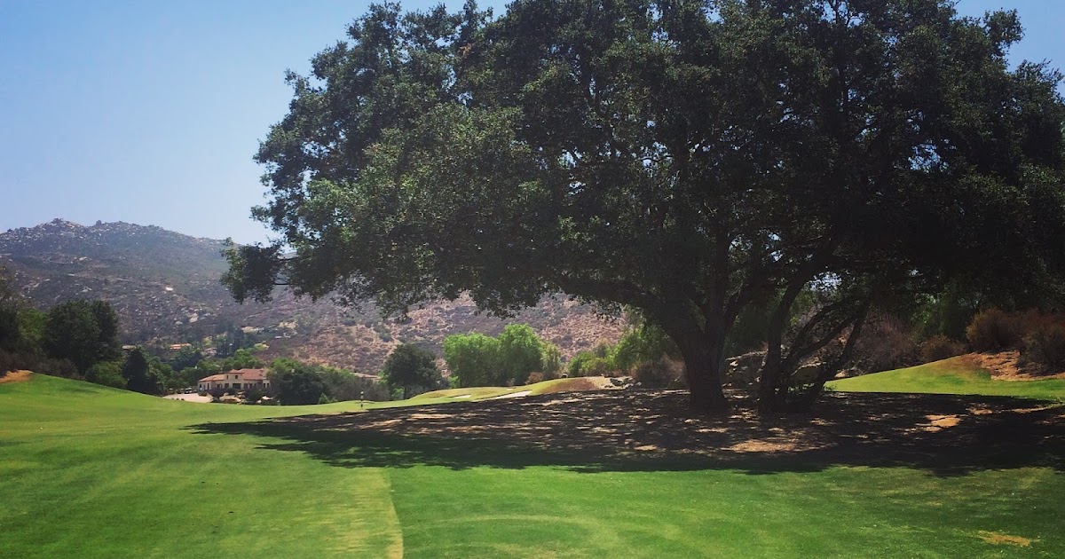 ReGripped Maderas Golf Club Review