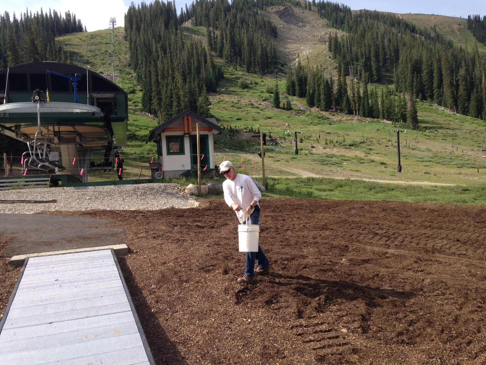 Al's Blog: Seed, Fertilizer and More Mulch