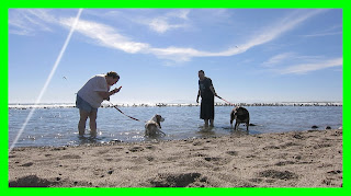 Valentines Day Beach Adventure