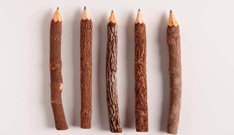 Fakta Mengenai Seputar Pensil