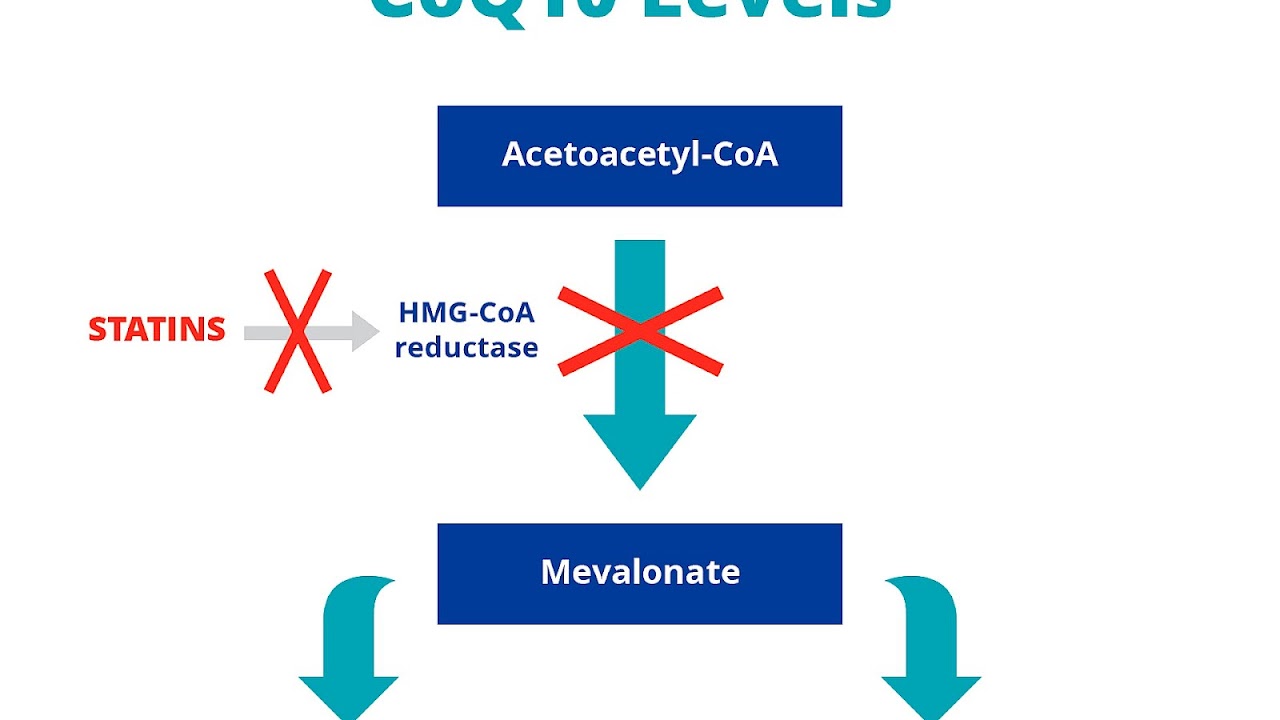 Side Effects Of Cholesterol Medicine Effect Choices