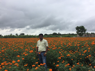 Stopping by a field of Marigold flowers on the way home from school