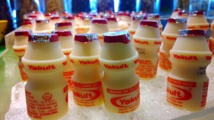 Mengapa Botol  Yakult  Berukuran Kecil Alasannya Tak 