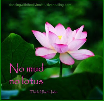 No mud, no lotus. -- Thich Nhat Hahn