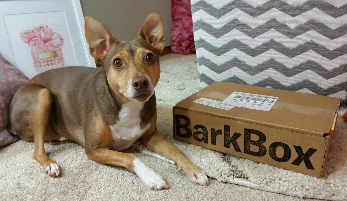 dog subscription box coupon