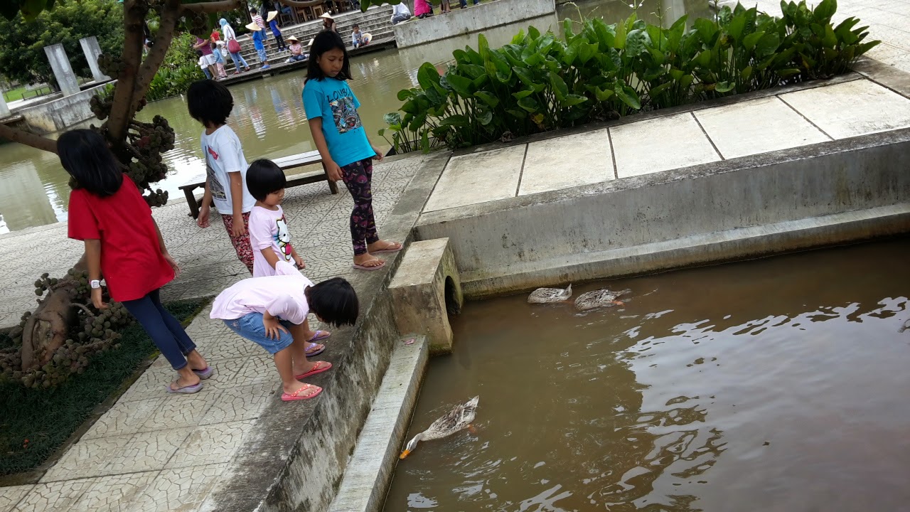 Papa Maheswari Danastri: Wisata Kuntum Farm Field