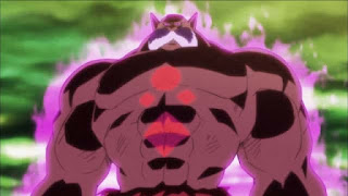Rebirth of Toppo Rebirth of Toppo
