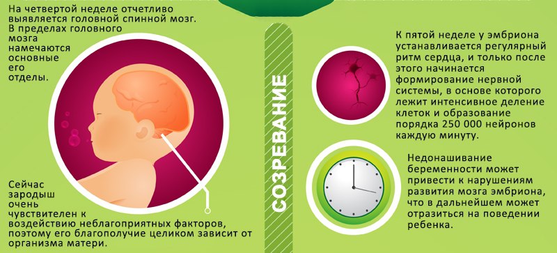 Старение мозга симптомы. Как возраст влияет на человека. Биологический возраст женщины. Как возраст влияет на человека. Мозг в старости.