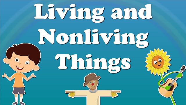Living and Nonliving Things Examination Test Questions and Answers