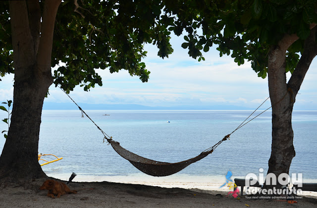 Momo Beach House Resorts in Panglao Bohol