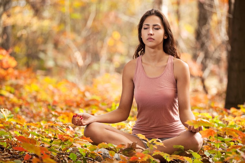 Free Audio Meditation Free Audio Meditation