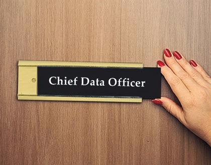 Chief Data Officer Tag