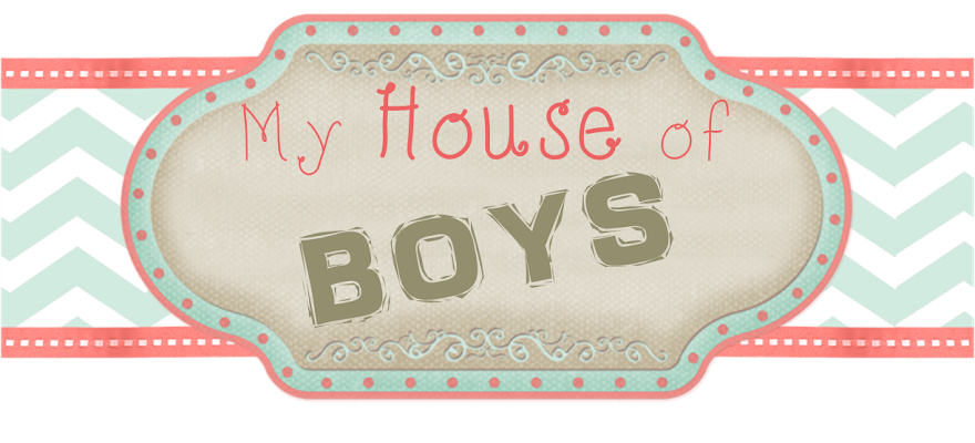  My House of Boys