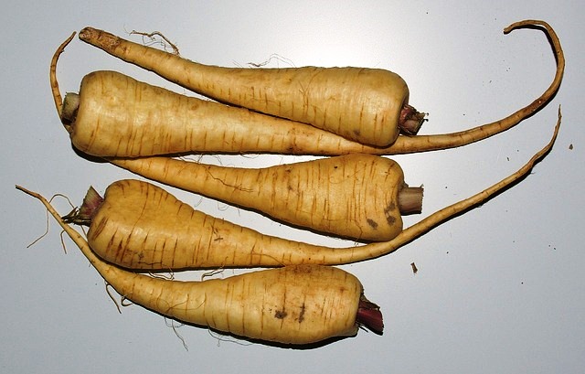 Alternative vegetables to spiralise when there are no courgettes - carrots, leeks, sweet potatoe, cabbage and parsnip. Alternative vegetables to spiralise when there are no courgettes - carrots, leeks, sweet potatoe, cabbage and parsnip.