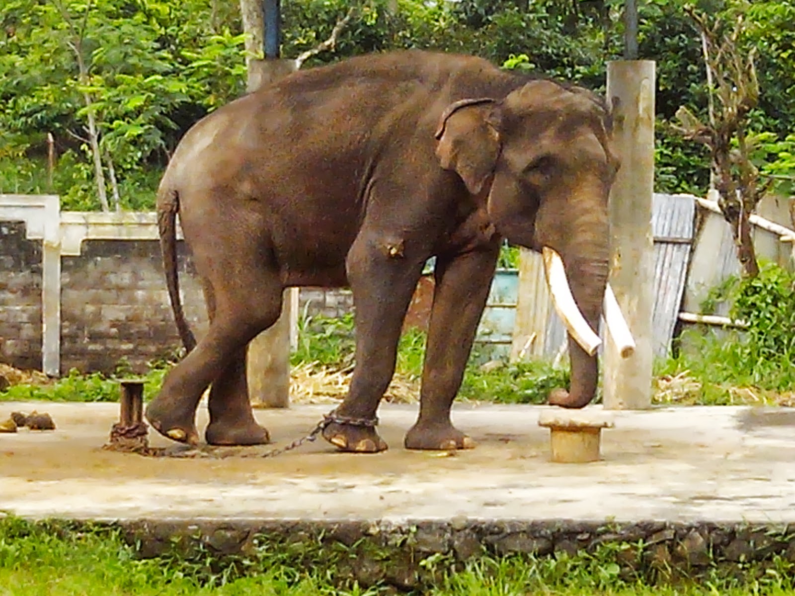 BALAI KSDA JAWA TENGAH, " SEKSI KONSERVASI WILAYAH (SKW) 1 SURAKARTA