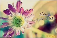 اجمل الصور اجمل صور هذا العام 2020 صور جميلة متنوعة