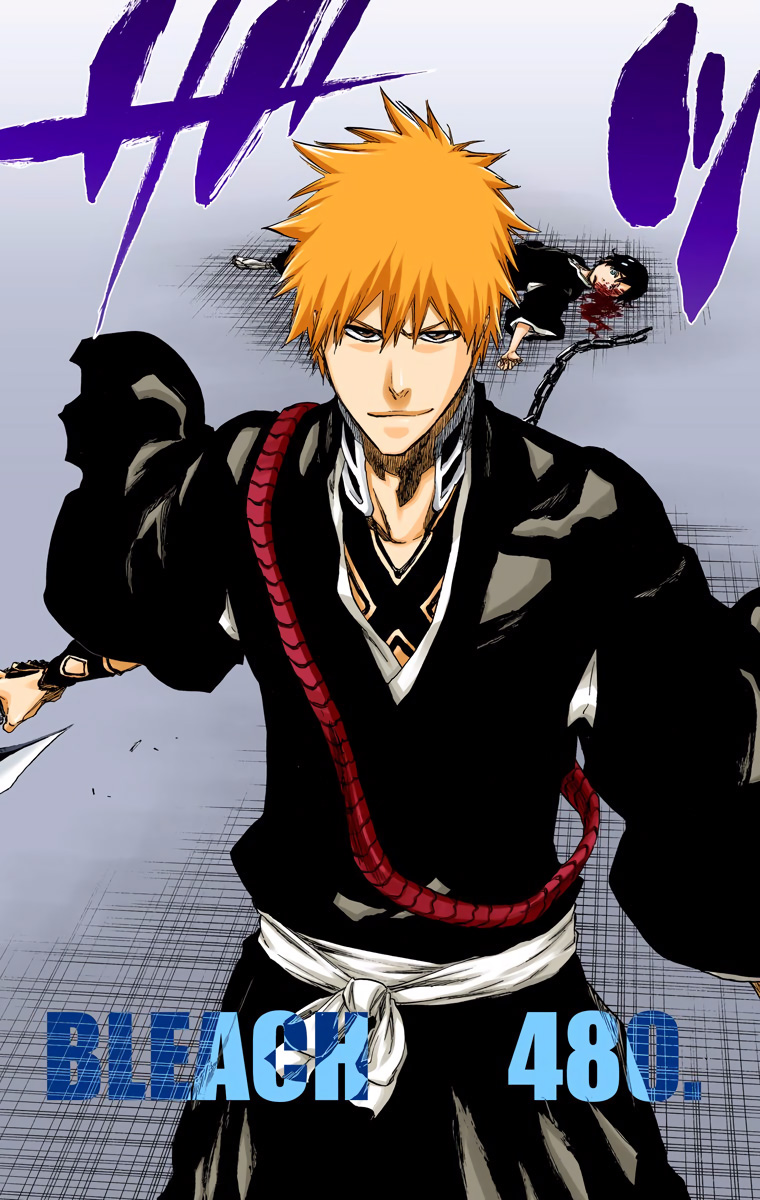 Bleach Manga