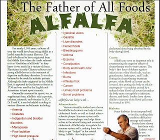 Info Alfafa Alfafa