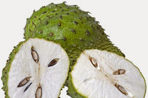 Khasiat Dan Manfaat Durian Belanda Untuk Kanker