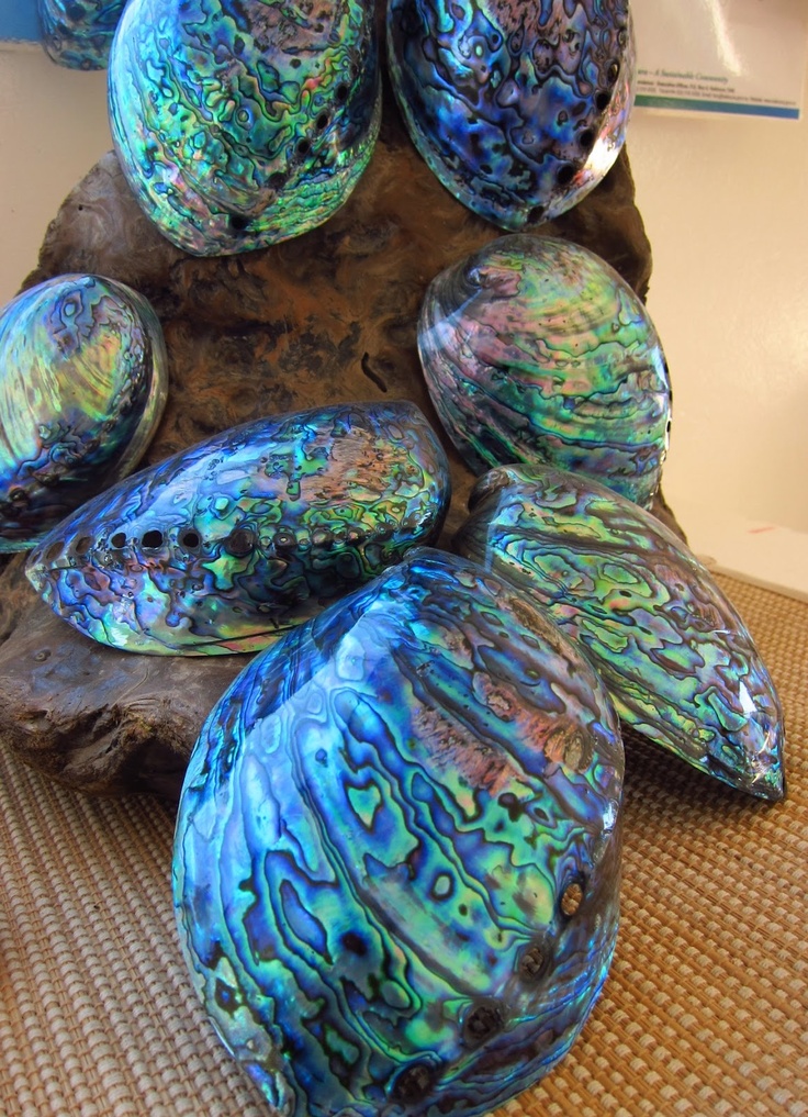 paperartsy-2015-15-paua-shell-effect-a-video-by-lin-brown