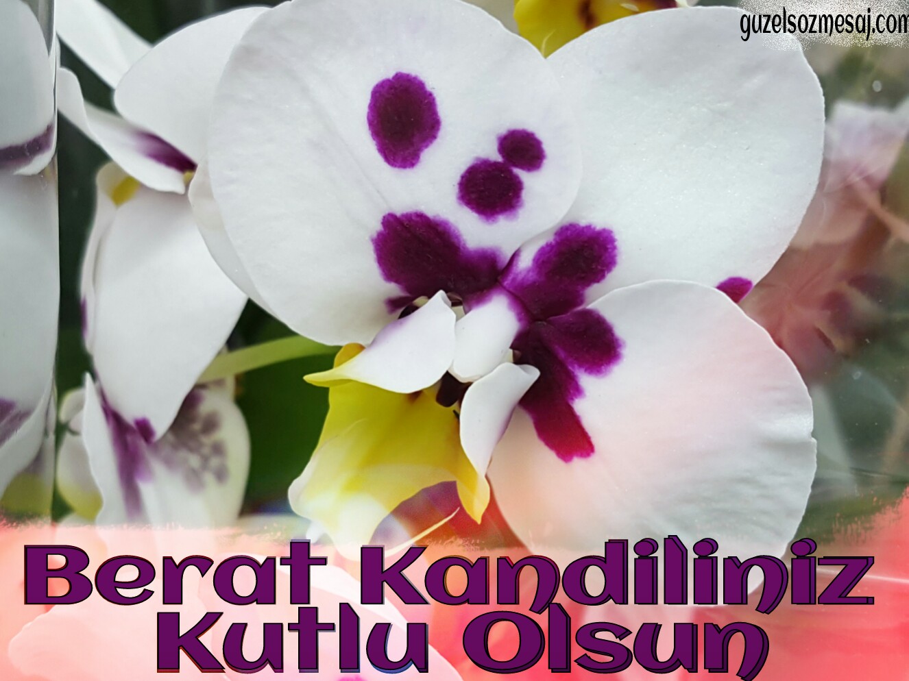 Berat kandili mesajları kısa ve öz Berat kandili mesajları kısa ve öz