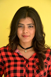 hebah patel at nnnbf success meet hebah patel at nnnbf success meet
