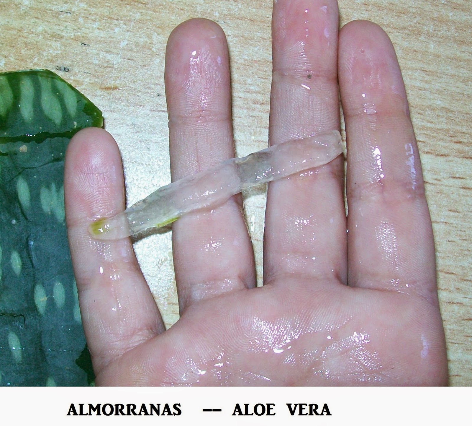 http://comocuraralmorranas.blogspot.com/ como-curar-las-almorranas-con-aloe-vera-dieta-