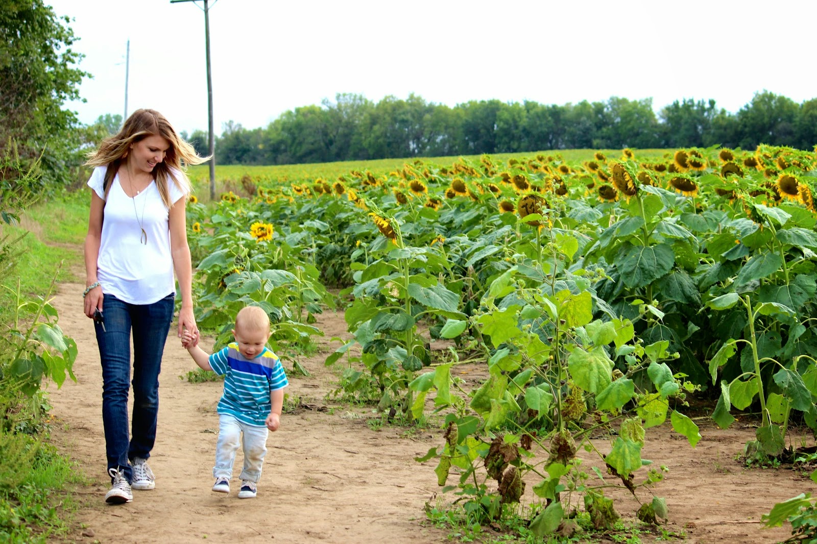 Lavender Water Organic Bug Spray The Lavender Apple
