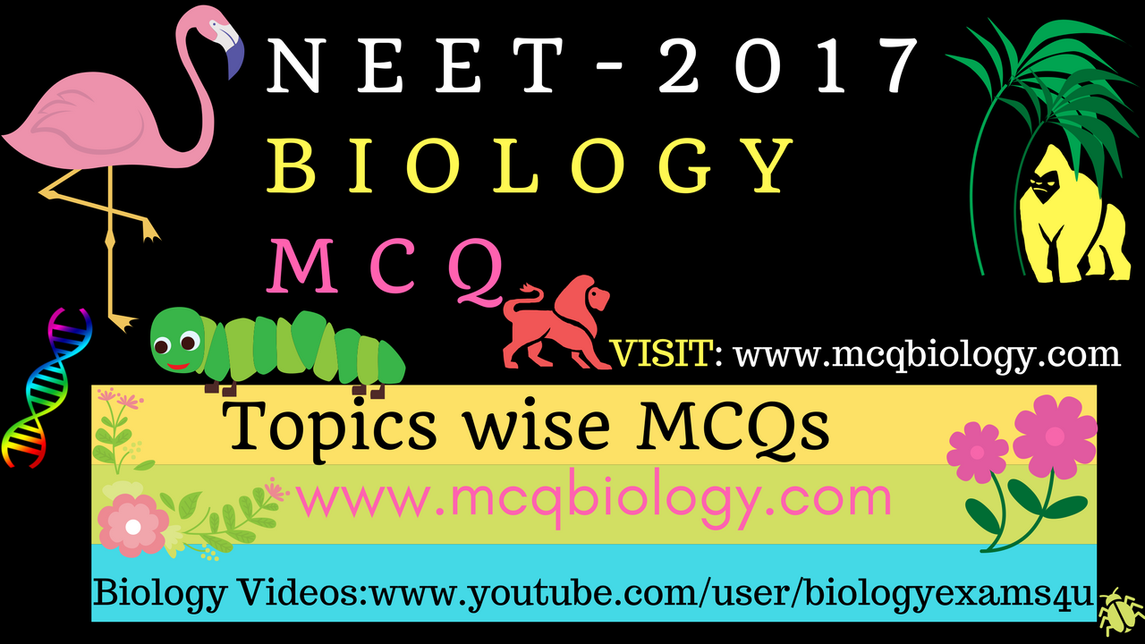 NEET Biology MCQ