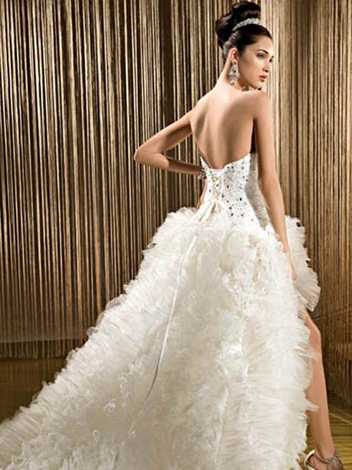 Wedding Dresses for Lifetime: Backless Wedding Dress Wedding Dresses for Lifetime: Backless Wedding Dress