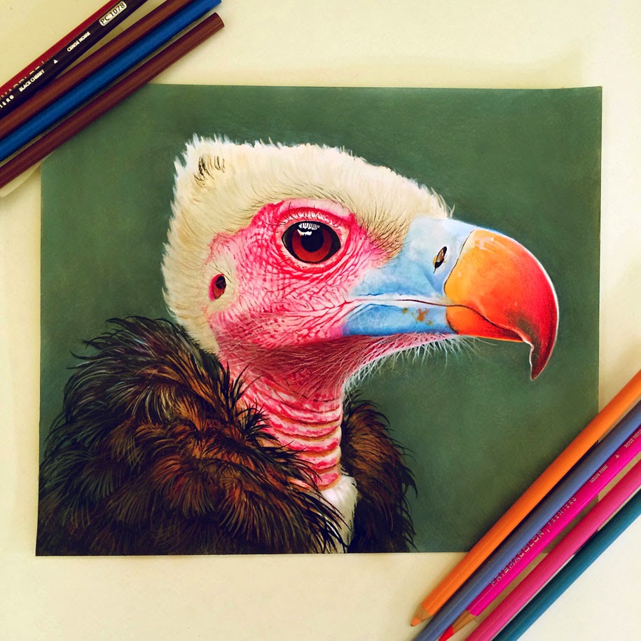 Color Pencil Drawing Realistic