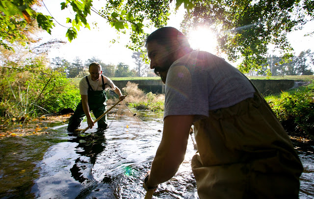 Study provides roadmap for measuring animal, plant traits to meet biodiversity goals Study provides roadmap for measuring animal, plant traits to meet biodiversity goals