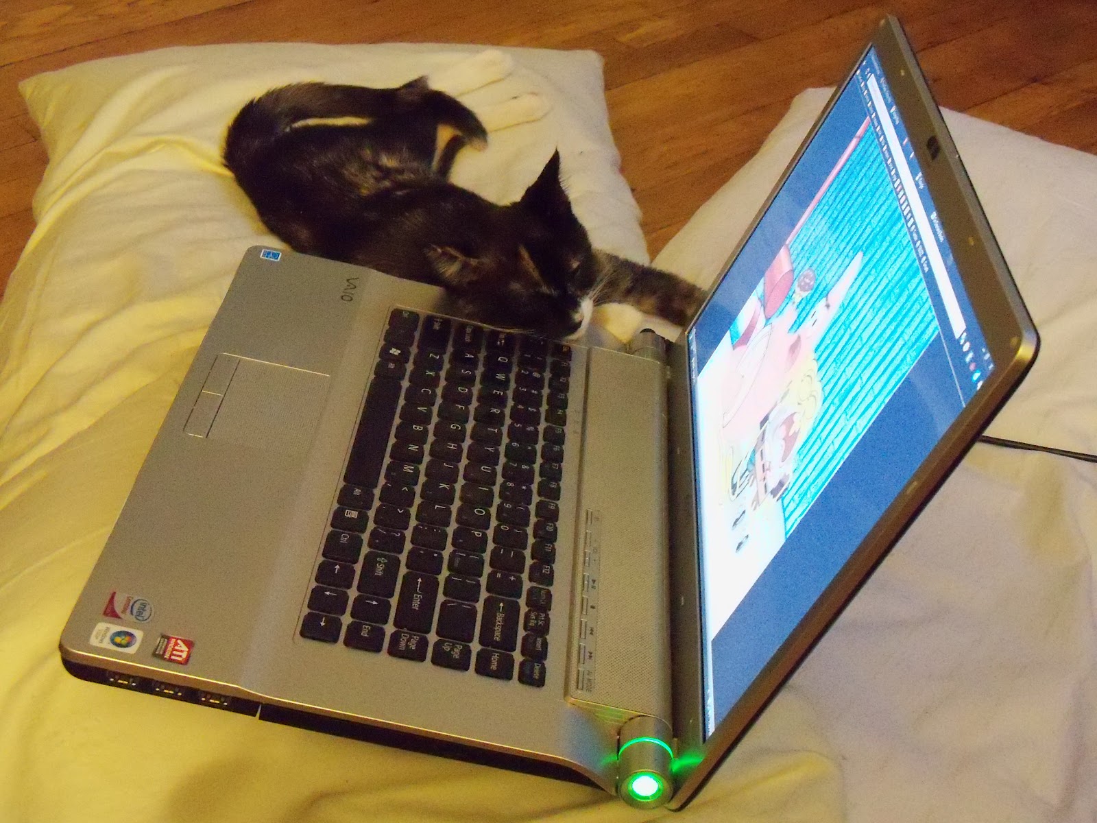 the feminist librarian: from the neighborhood: books and cats