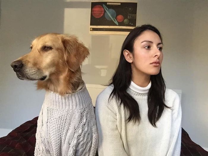 30 Adorable Pictures Depict The Loving Relationship Between A Woman And Her Dogs 30 Adorable Pictures Depict The Loving Relationship Between A Woman And Her Dogs