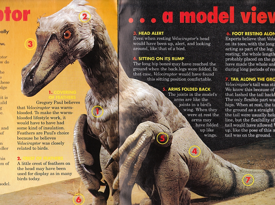 Vintage Dinosaur Art Yet More Dinosaurs Vintage Dinosaur Art Yet More Dinosaurs