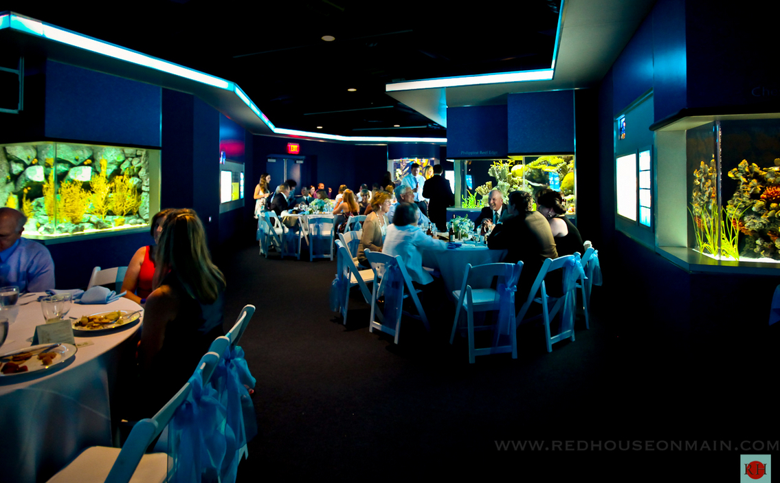 Tennessee Aquarium Wedding Venue Tennessee Aquarium Wedding Venue