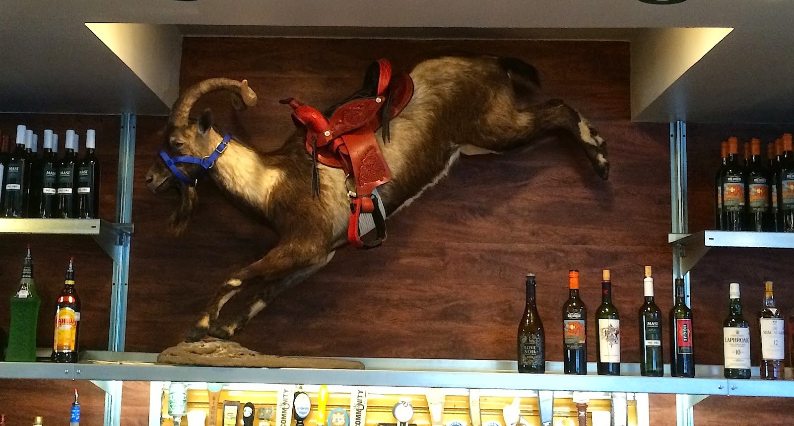 Livin The Good Life: Rodeo Goat