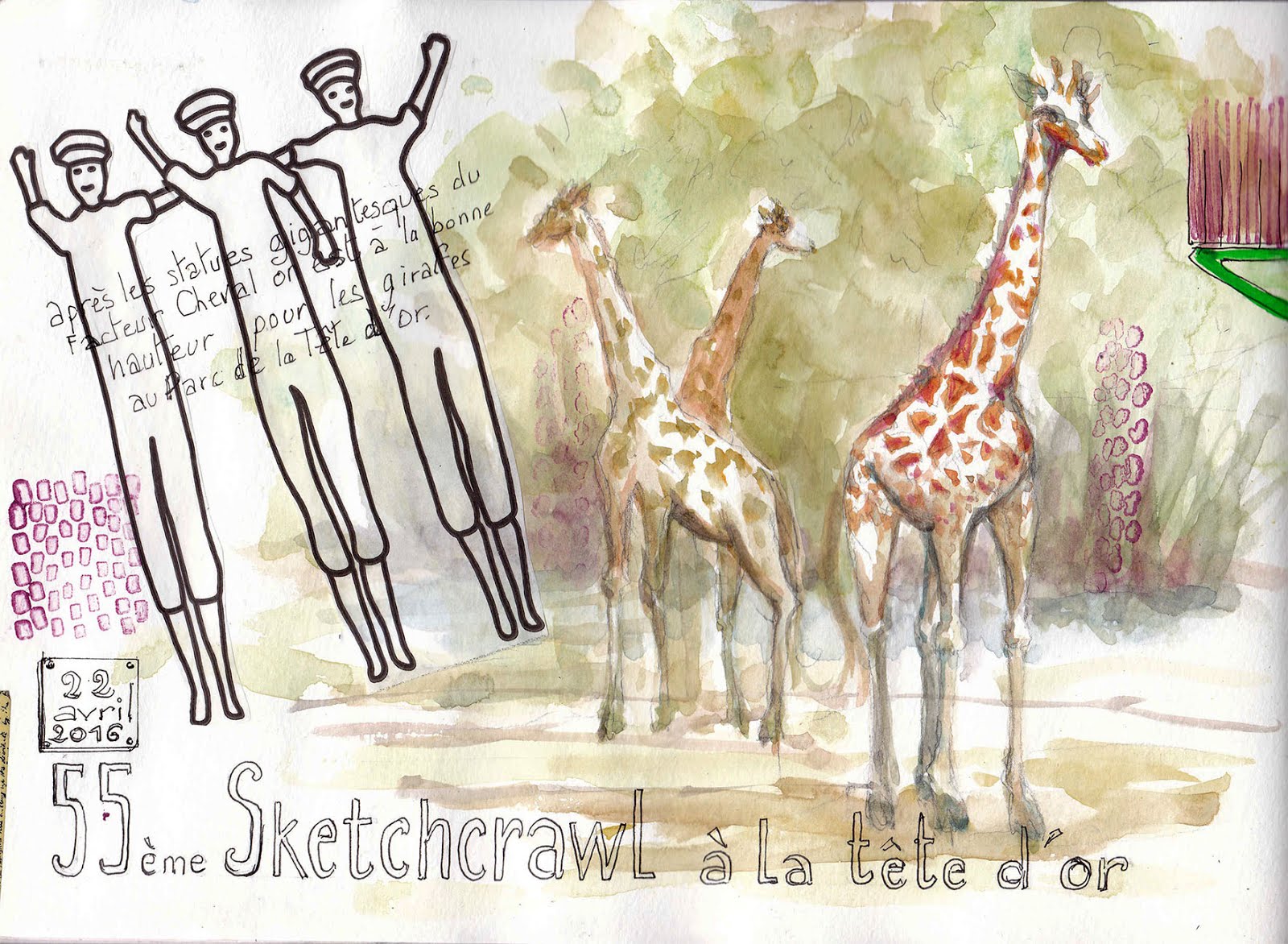 Girafes au 55e Sketchcrawl