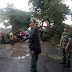 Satu Orang Warga Tertimpa Pohon Tumbang Akibat Hujan Lebat Disertai Angin