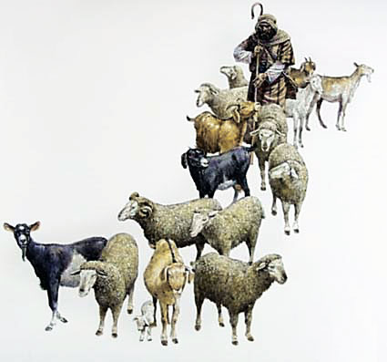 Parable Of The Sheep And Goats