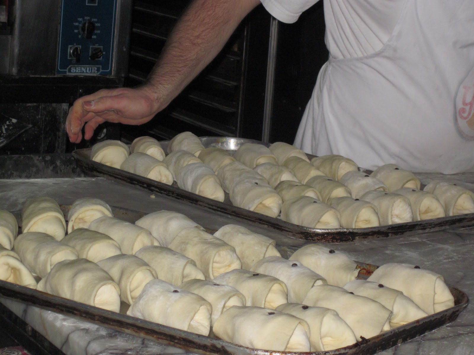 OĞLAK KIZLARI: Dalyan da, kiralık ev bulmak, aramak..