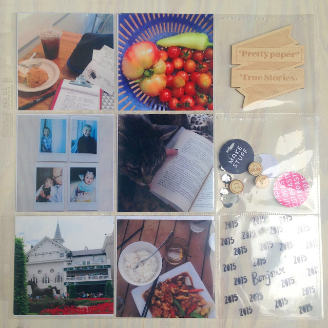 2015 Scrapbook Cover Page