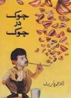 Jok Dar Jok Urdu pdf book image